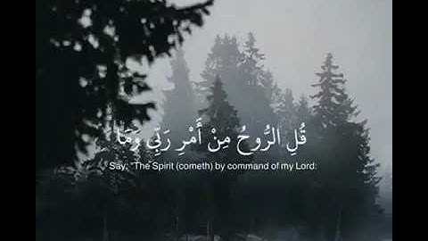 وَ يَسْأَلوْنَكَ عَنِ الرُّوح||بصوت القارئ وديع اليمني||الوصف لو تكرمتم⬇️🌸