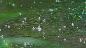 videoblocks 180 fps slow motion air bubbles splash and pop on water from thunderstorm rf a65 m7 1080