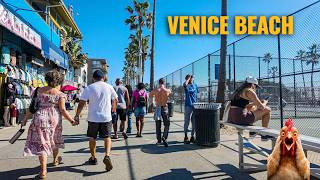 Venice Beach on a Sunday 🇺🇸 The Boardwalk Is Absolutely Wild (Walking Tour 2026)