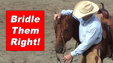 How To Bridle A Horse and Adjust The Bit Correctly - Training A Horse To Be Good To Bridle
