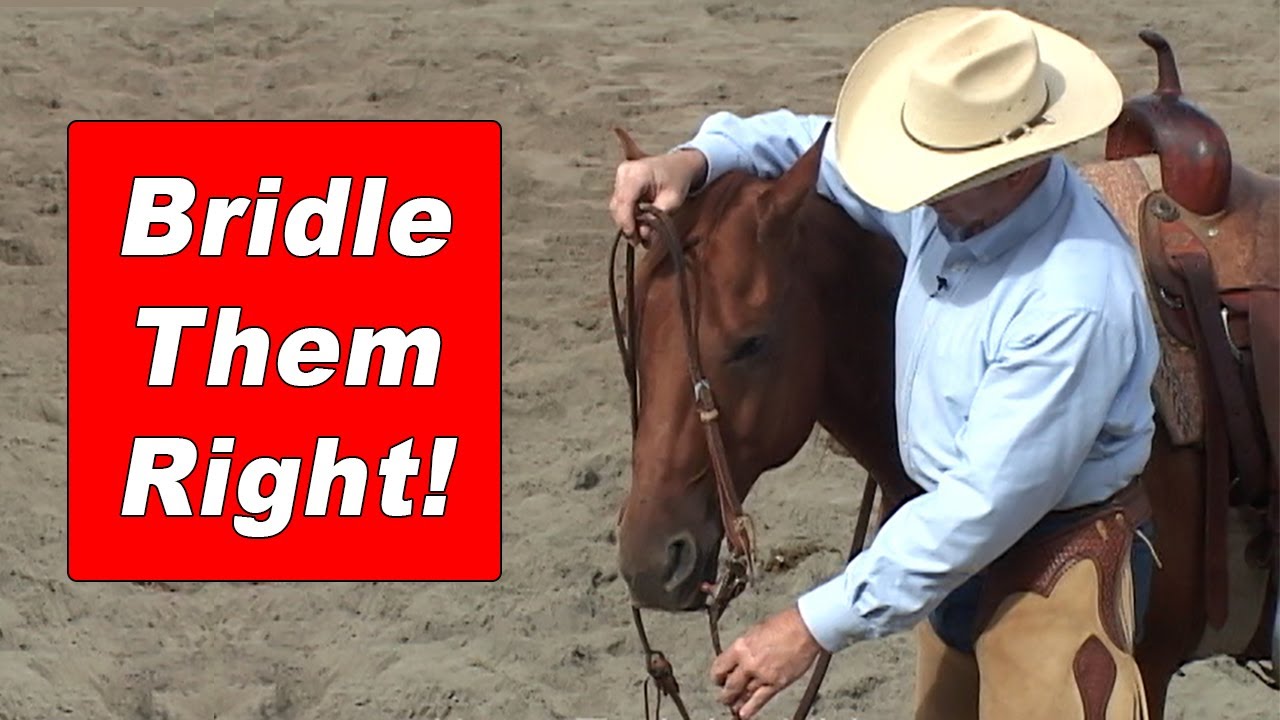 Better Bridle - Explained in 63 Seconds