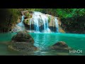 سورة النساء الشيخ السيد متولي