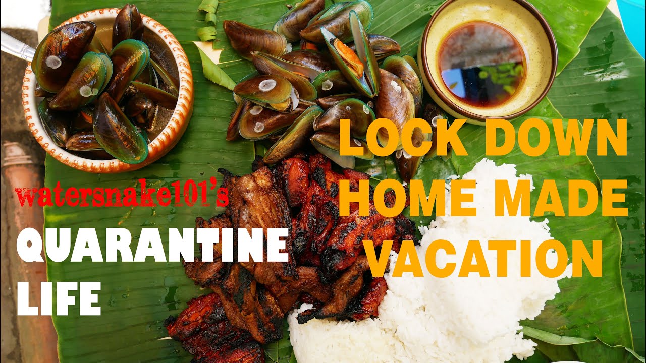 Quarantine Life: Lock Down Home Made Vacation │Water Snake 101