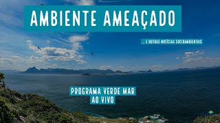 O desmonte de órgãos ambientais no Brasil e as acusações contra Ricardo Salles