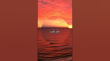 واتس اب قران كريم القارئ نعمة الحسان من سورة (الانبياء)
