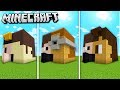 SKUB vs. DORL vs. DALEX HOUSE in Minecraft!