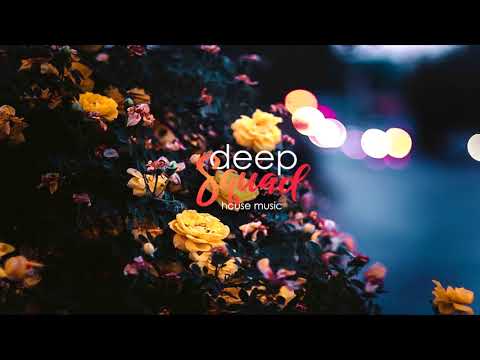 Akcent ft. REEA - Stole My Heart (DJ Tarkan Remix)