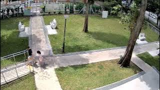 26 October 2025 at 11.45am - Loud High pitched repetitive bird noises at Toa Payoh Lorong 8, SG 