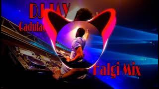 Gadulach Pani (Halgi Mix) DJ JAY THAKUR CHALISGAON
