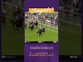 Could Ombudsman be our next Longines #BreedersCup Classic winner?