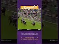 Could Ombudsman be our next Longines #BreedersCup Classic winner?