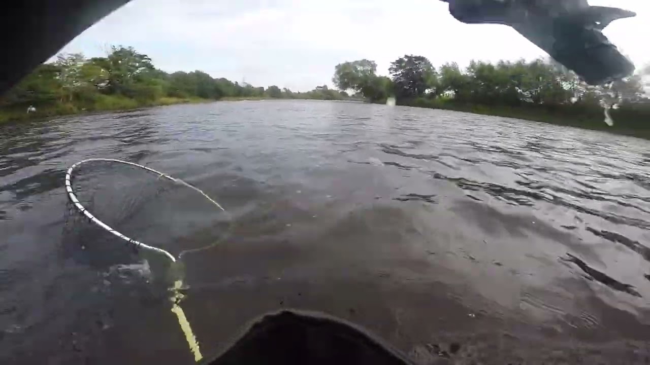 Nice clean 5lb fish CAA (hook out in the net again)