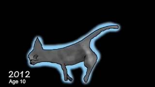 6 Years of Animation Improvement (2011 - 2017)