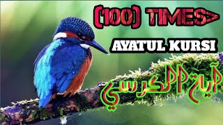 (100) Times AYATUL KURSI Tilawat)آيةالكرسي