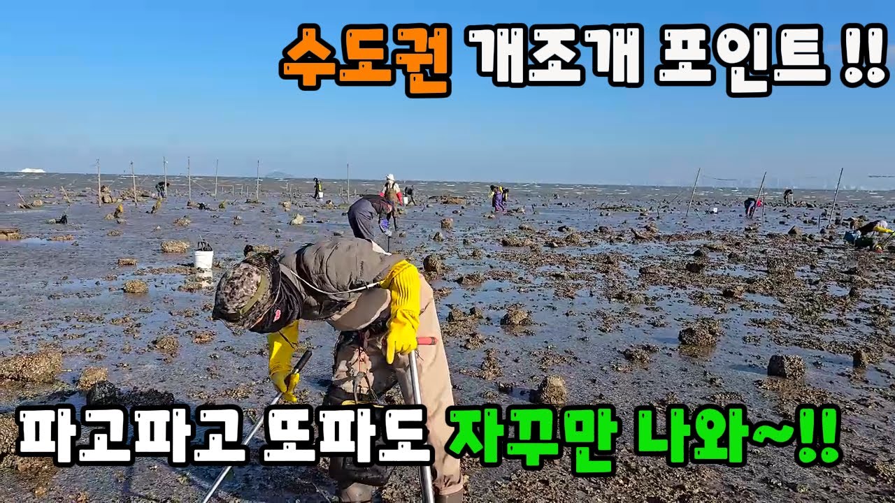 수도권 개조개 포인트 !! 파고파고 또파도 자꾸만 나와~!!