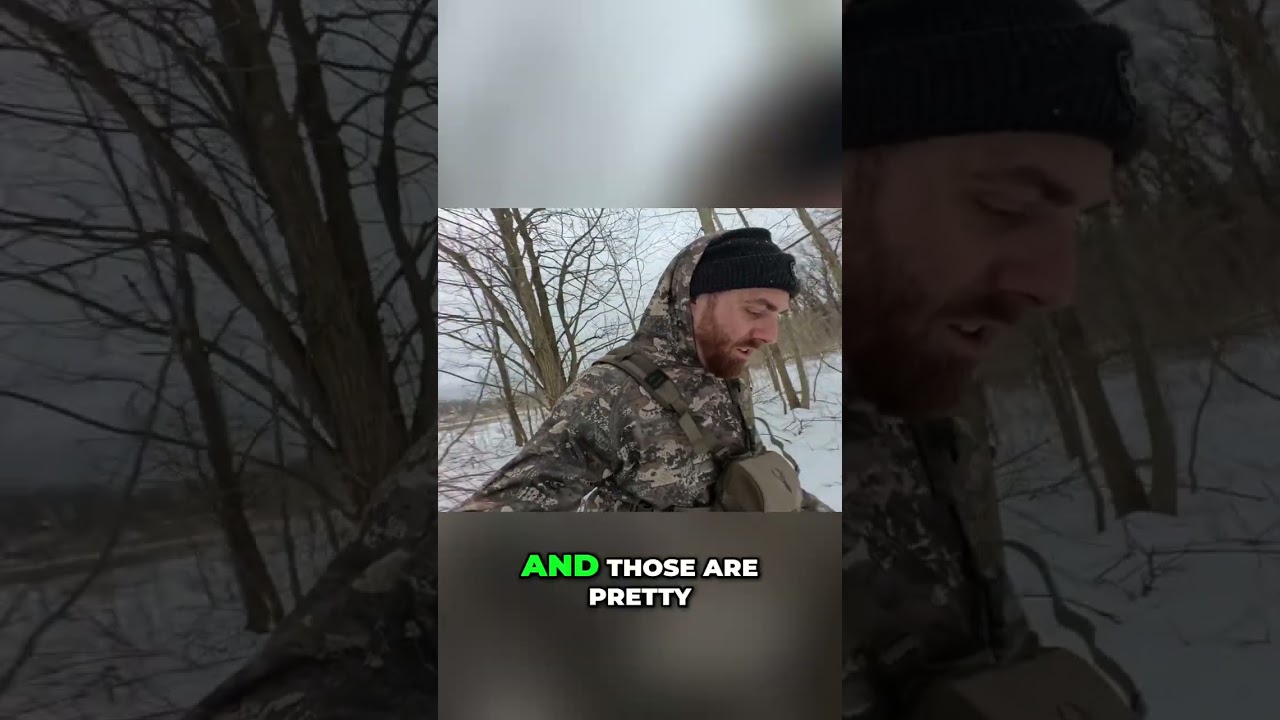 MASSIVE Deer Beds Found: This Buck is a Genius! #shorts