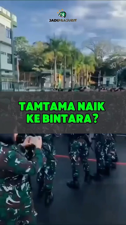 APAKAH TAMTAMA BISA NAIK KE BINTARA - JadiPrajurit