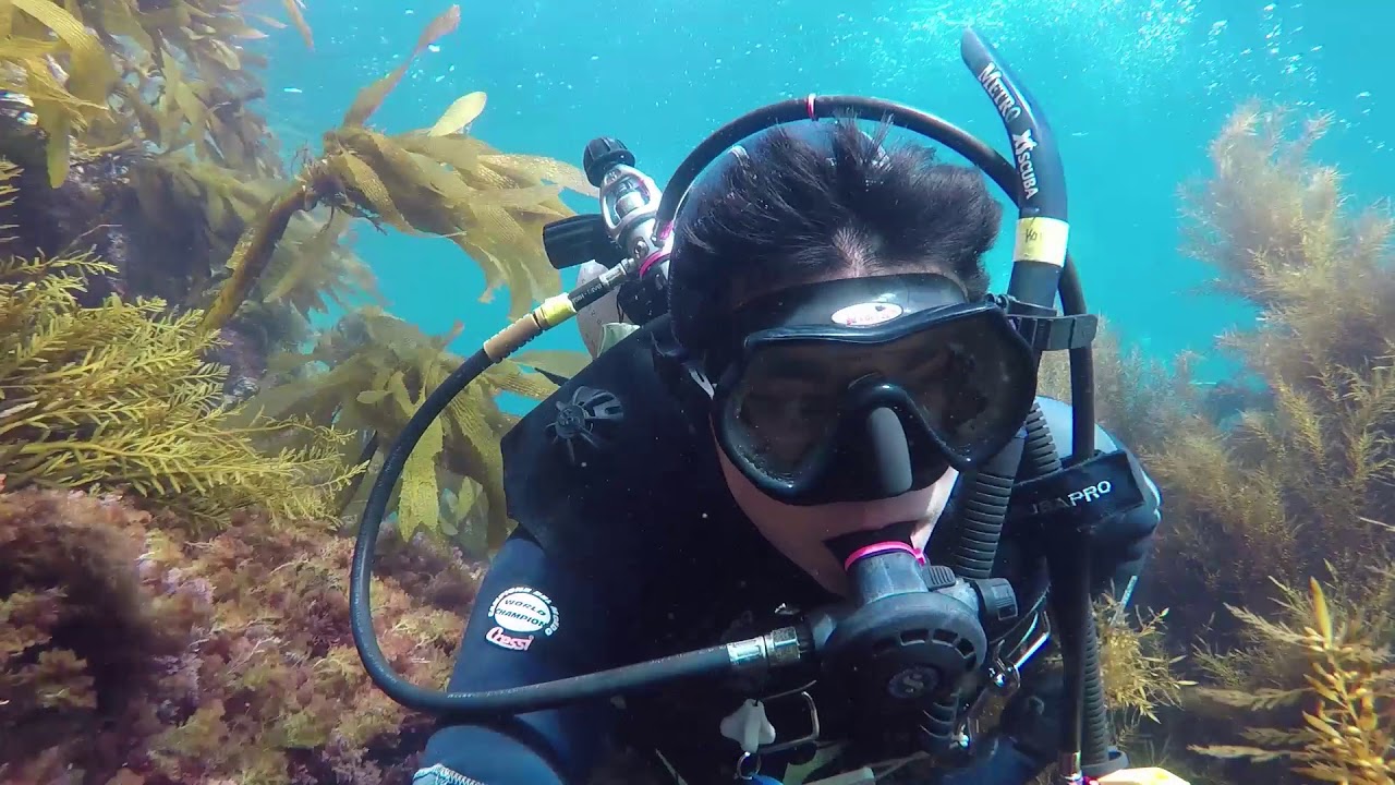 Catalina SciDive Trip