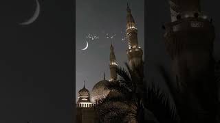 Surah Ibrahim 🌙 | The Surah That Reminds You of Allah’s Mercy"