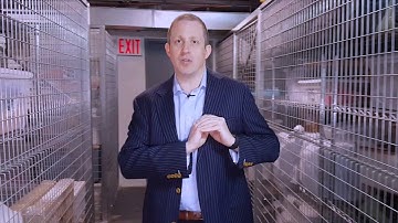 NYC Project Management: Basement Storage Cages