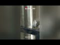 Video Image