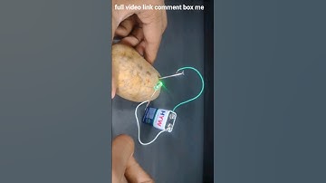 potato experiment 🥔 । potato #experiment  #potato #tendingshorts #shorts
