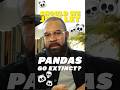 Should we let pandas go extinct? #biology #conservation #animation #nature #science #panda