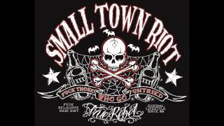 SMALL TOWN RIOT - DEMOCRACY (True Rebel Records)