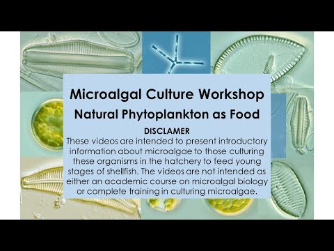8 Microalgal Culture