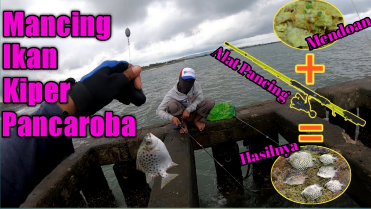 Tehnik Mancing Ikan Kiper Umpan Mendoan - #VlogFishing Dam Teluk Penyu
