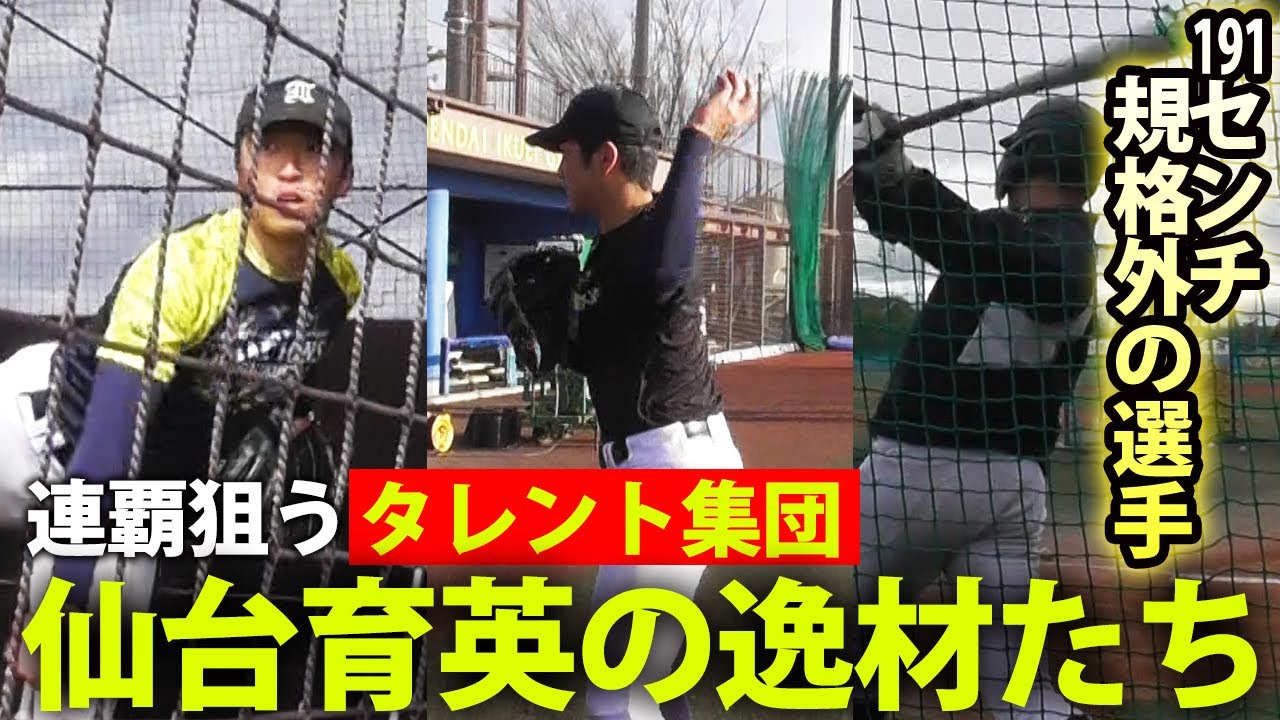 Talent Group] The 191cm tall talent's hits are amazing! Notable