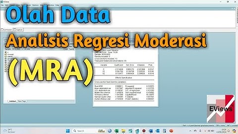 Cara Mengolah Data Analisis Regresi Moderasi Menggunakan Eviews