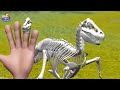 Dinosaur Skeleton finger family 3D by baby nursery rhymes 