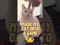 I Made My Cat, Sky, Into a Game | Life of Sky