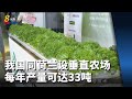 我国同荷兰设垂直农场 每年产量可达33吨