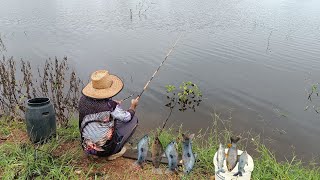 O TEMPO TÁVA GROSSO PARA CHUVA MAIS TRAZIA MUITO PEIXES PARA O ANZOL