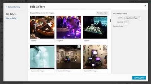 Editing Your Wordpress Image Gallery for Artists - Artist Website