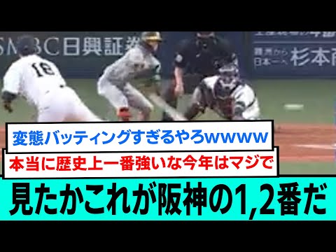 見たかこれが阪神の1,2番だ。【阪神タイガース/プロ野球/なんJ反応まとめ・ 2chスレ・5chスレまとめ/村上頌樹/佐藤輝明/渡邉諒/近本光司/中野拓夢/2023年10月28日】