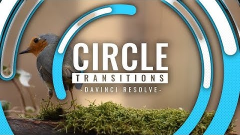 Circles Transitions DaVinci Resolve Templates