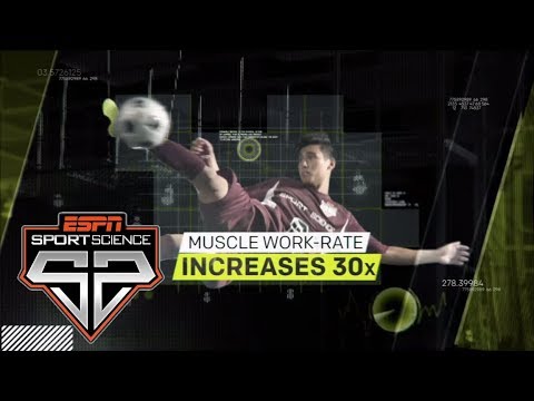 How does soccer affect the human body? | Sport Science ...