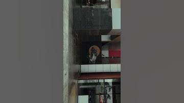 Iphone 14 pro PRORES #mobilevideography #cinematicvideo #filmicpro #shotoniphone @FreewellGear