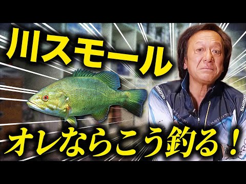 Intense fight※ A thorough explanation of the river small. (High