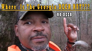 Where is the Georgia DEER RUT??????