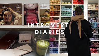 Vlog Introvert Diaries A Quiet Winter Day Alone