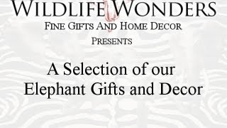 Elephant Gifts Sampling Video from Wildlife Wonders