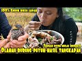 BURUNG PUYUH GORENG HASIL BURUAN TANGAN DEWA | SIAPIN NASI SEBELUM MENONTON