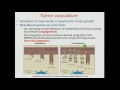 SRS/SBRT - Introduction to the Radiation Biology of Hypofractionation - By  Brian Marples, Ph.D
