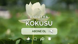 DUYGUSAL MÜZİKLER | PAPATYA KOKUSU | SİNEMA FİLM DİZİ | #VİZYON360TV #PAPATYAKOKUSU #SEVGİDENİZİ