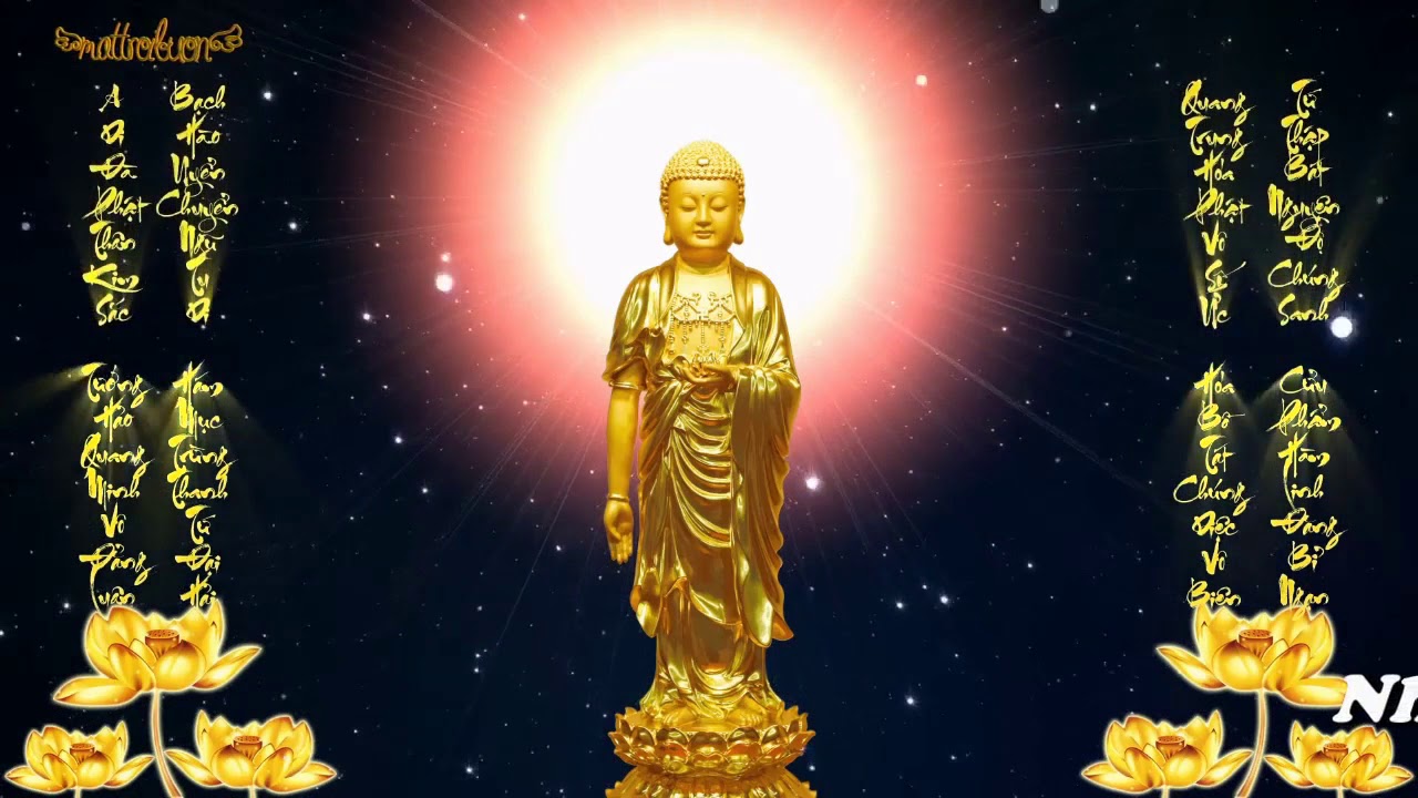KHAI THỊ SỐ 10 - TU HÀNH, NGHE PHÁP KHÔNG ÍT, TẠI SAO... - youtube
