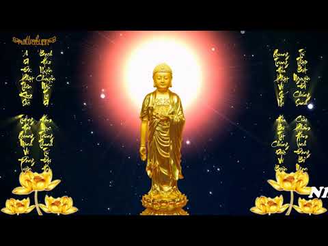 Video KHAI THỊ SỐ 10 - TU HÀNH, NGHE PHÁP KHÔNG ÍT, TẠI SAO... - youtube